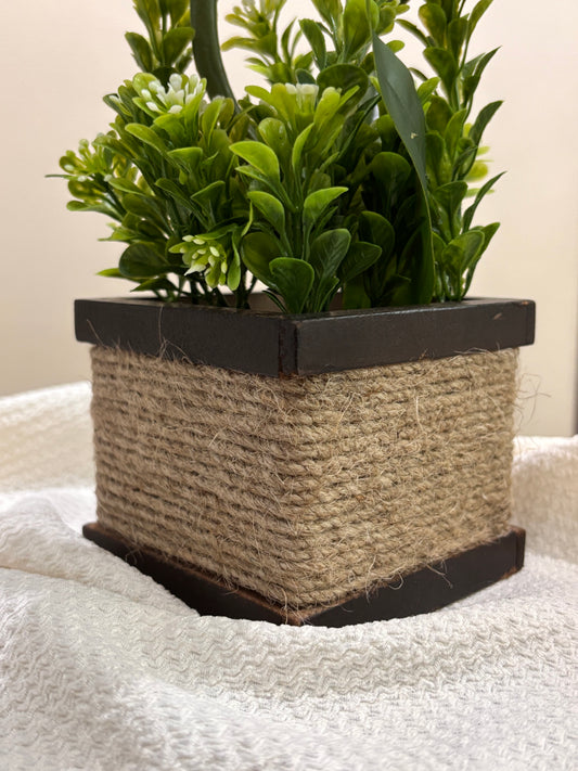 White Ever Lasting Bloom (3 Flowers)